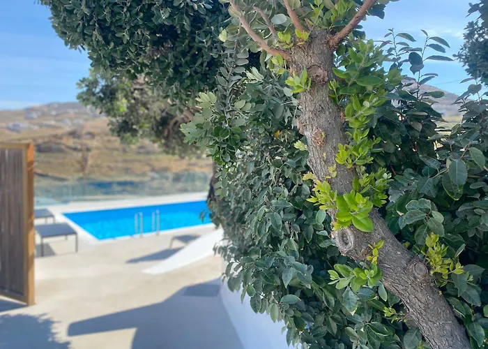 Irina Mykonos Ftelia (Mykonos)