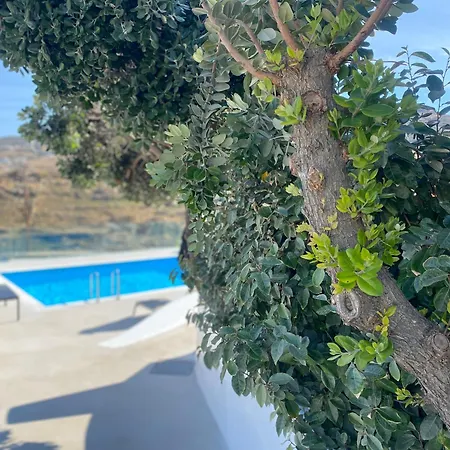 Paradise - Irina's Oasis Ftelia (Mykonos)