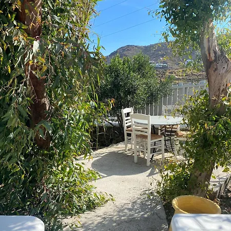Paradise - Irina's Oasis *